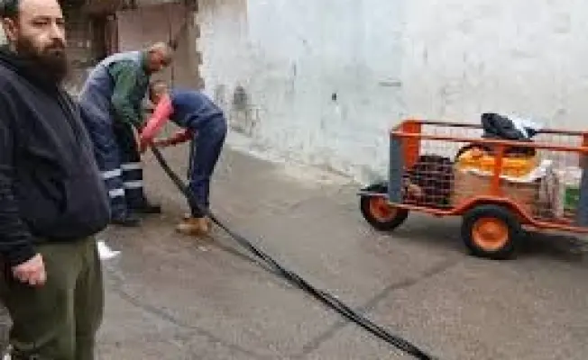 صورة ارشيقية