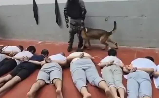 شهادات من سجن جانوت