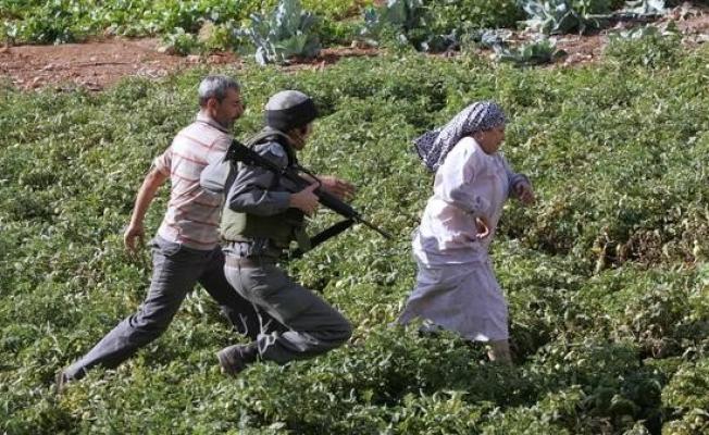 العدو يعتدي على المزارعين الفلسطينيين