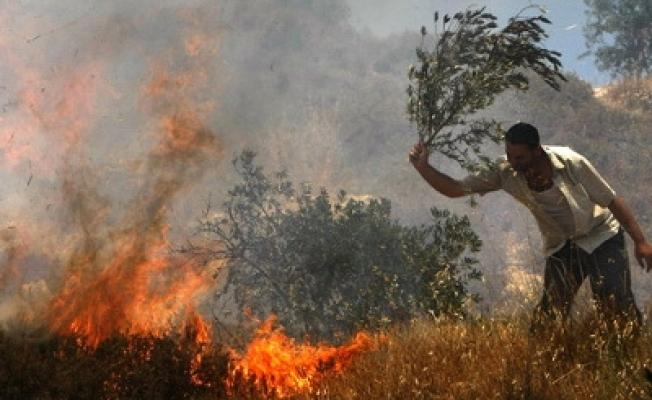 نيران تشتعل في أحد الحقول