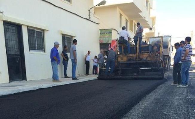 تزفيت شارع المدارس في البارد