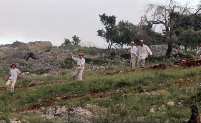 مستوطنون