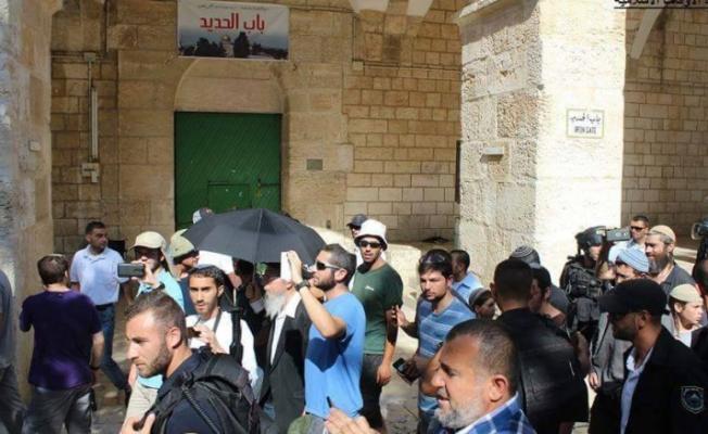 الاحتلال يعتقل مستوطنين