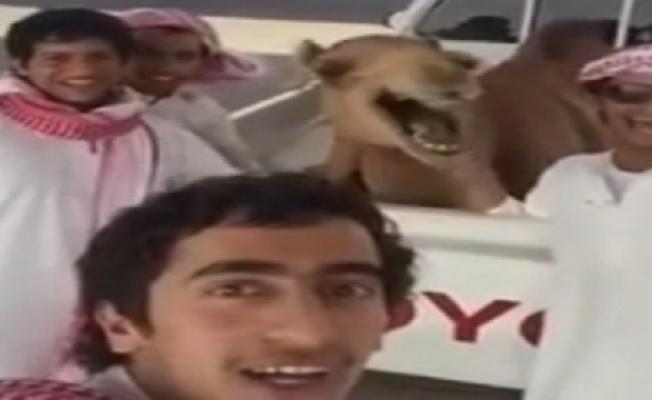 لقطة من الفيديو