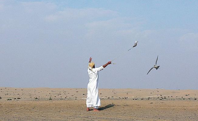 صورة تعبيرية