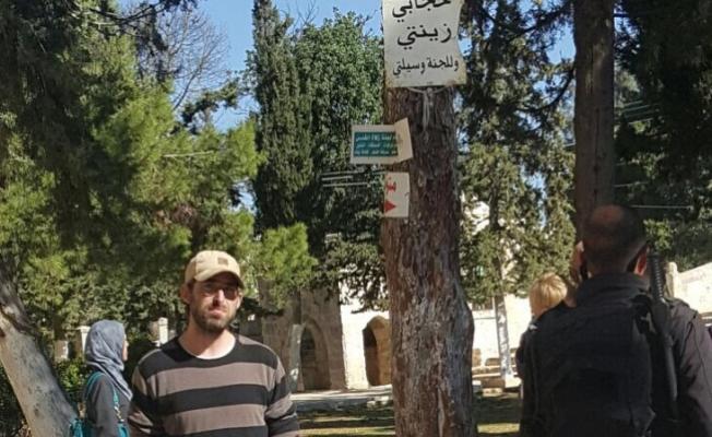 السائح اليهودي