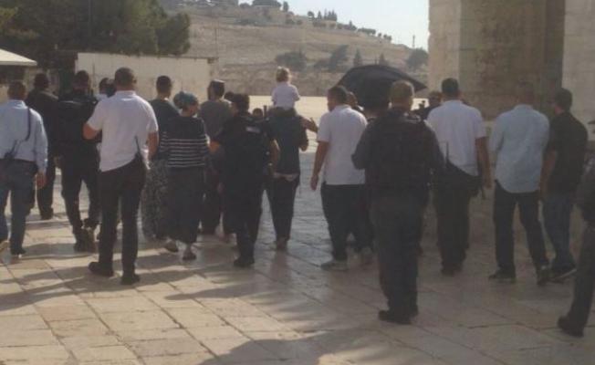 مستوطنون يقتحمون الأقصى بحماية قوات العدو 