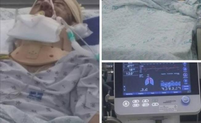 محمد فهيم محمود شلالدة
