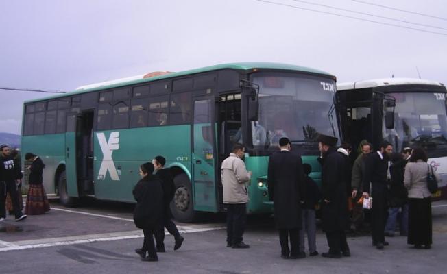 حافلات