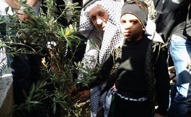 لقطة من النشاط