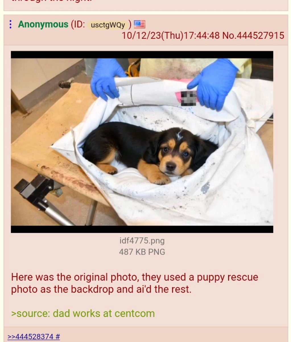2.jpeg