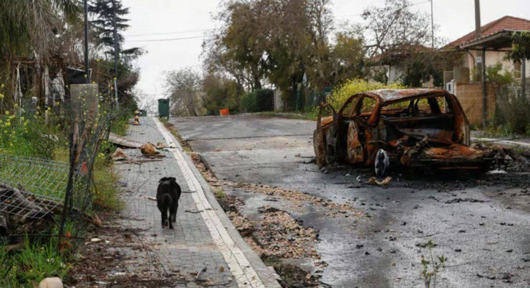 e80d4d1f-7959-4f6a-84e4-39642f355e9a