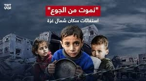 نموت من الجوع في غزة
