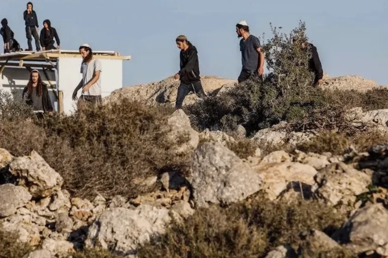 عصابات التلاا الداخل