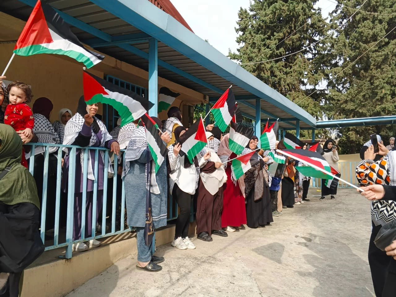 صيدا الداخل 2